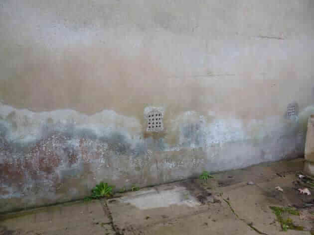 Traitement des murs contre l'humidité et les champignons